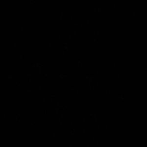 Meet your Posher, Nina